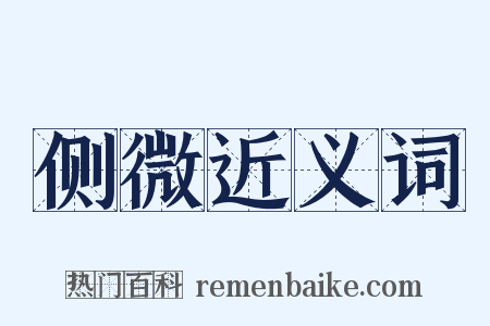 侧微近义词是什么意思的图片